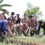 Maksimalkan Penyerapan Produksi Bawang Merah, Pemkab Cirebon Bentuk BUMD Pangan